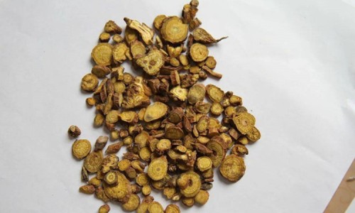 芦荟龙爪的作用与功效与作用图片-芦荟龙爪的正确吃法-芦荟芦荟的功效与作用,中国芦荟龙爪的作用与功效与作用网站