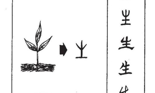 芦荟龙爪的作用与功效与作用及禁忌-芦荟龙爪的正确吃法-芦荟芦荟的功效与作用,中国芦荟龙爪的作用与功效与作用网站